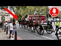 Royal horse artillery stop busy traffic in central london rare sighting