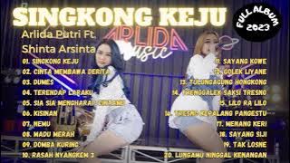 ARLIDA PUTRI Ft. SHINTA ARSINTA | SINGKONG KEJU - CINTA MEMBAWA DERITA - DUMES | FULL ALBUM 2023