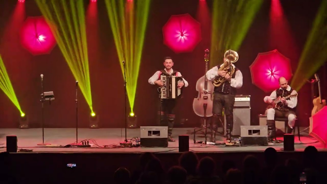 Ansambel Saša Avsenika - instrumentalna (Šentilj)