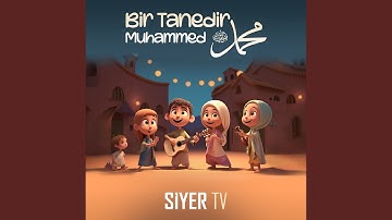 Thumbnail of Bir Tanedir Muhammed