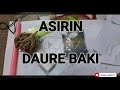 ASIRIN DAURIN BAKI