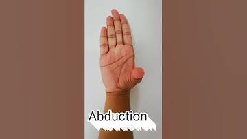 Abduction, Adduction, Flexion, Extension of thumb.