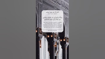 ما تيسر من سورة يونس 🤍🥀