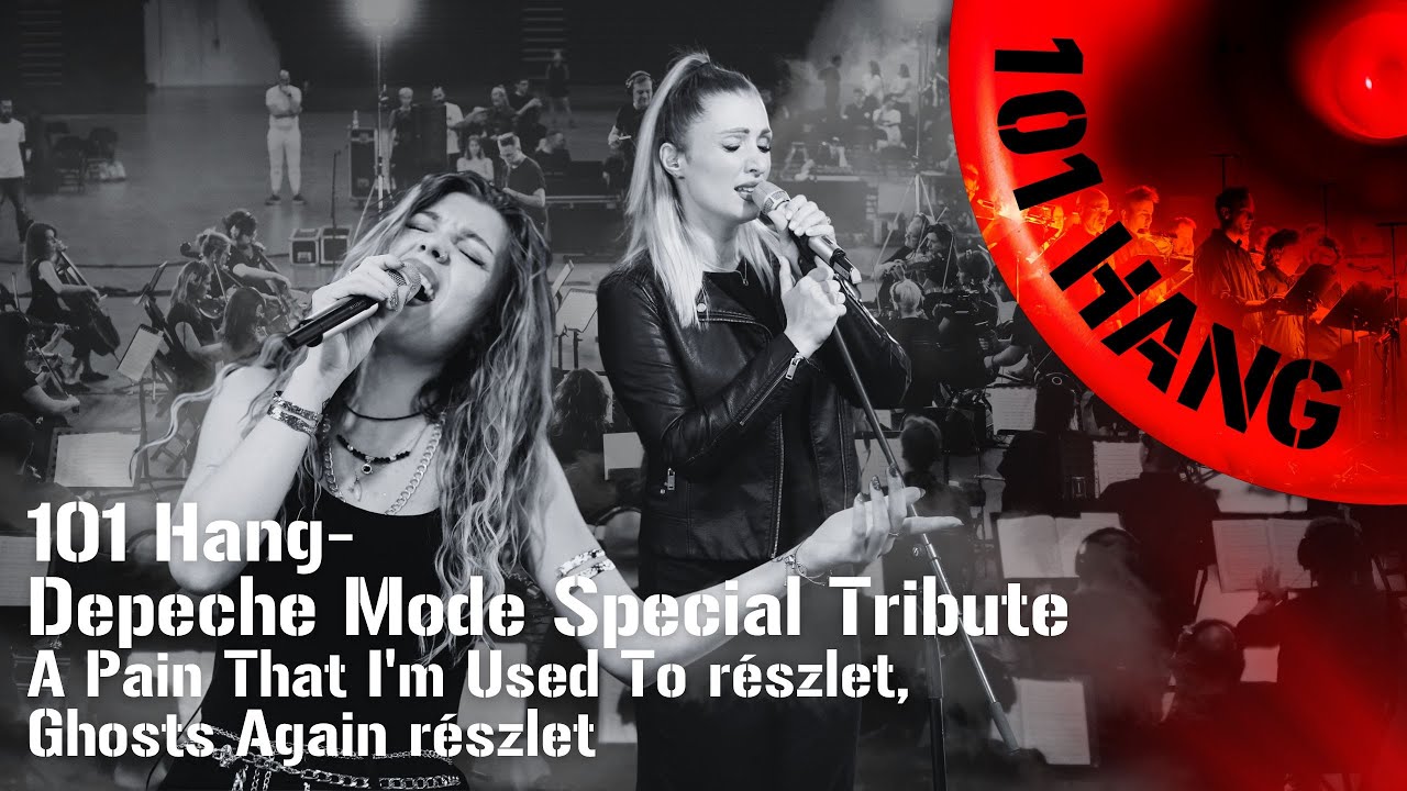 '101 Hang Special Tribute' -  Pain That I'm Used To / Ghosts Again (részlet)
