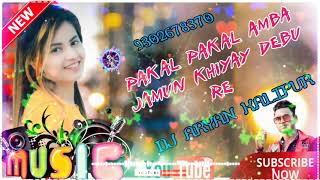 PAKA PAKA AMBA JAMUN KIYAY DEBU RE NAGPURI DJ REMIX SONG