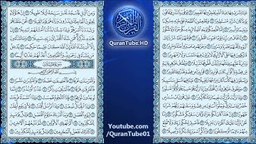 سعد الغامدي | 076 : سورة الإنسان | حفص عن عاصم