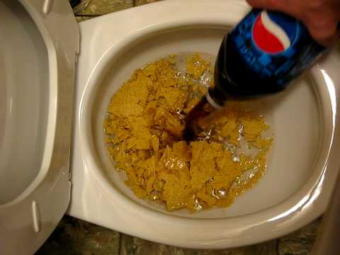 What Can Happen If You Flush Food Down the Toilet?