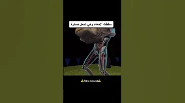 أبشجع الطرق التي توفي بها الناس 