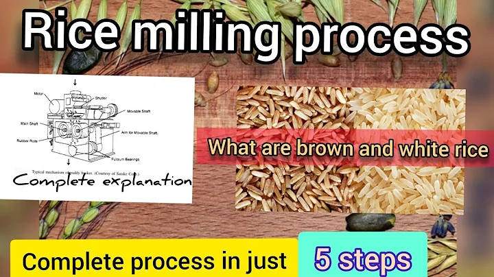 Rice milling. Machinery used in rice milling. Brown rice and white rice. Paddy separation process. - DayDayNews