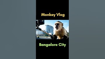 Viral Monkey Vlog  Video AI  | Google Veo 3 | Trend Video | Viral Shorts