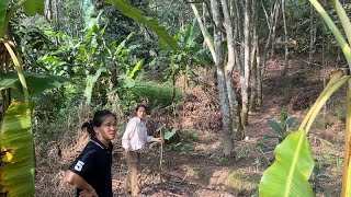 The life of a family of seven living in the deep mountains in seclusion