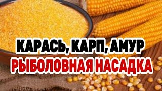 ТЕСТО ДЛЯ РЫБАЛКИ НА КАРАСЯ | КУКУРУЗНОЕ ТЕСТО НА КАРАСЯ, КАРПА, БЕЛОГО АМУРА