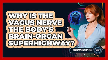 Why Is The **vagus Nerve** The Body