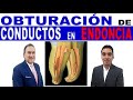 OBTURACION DE CONDUCTOS RADICULARES EN ENDODONCIA