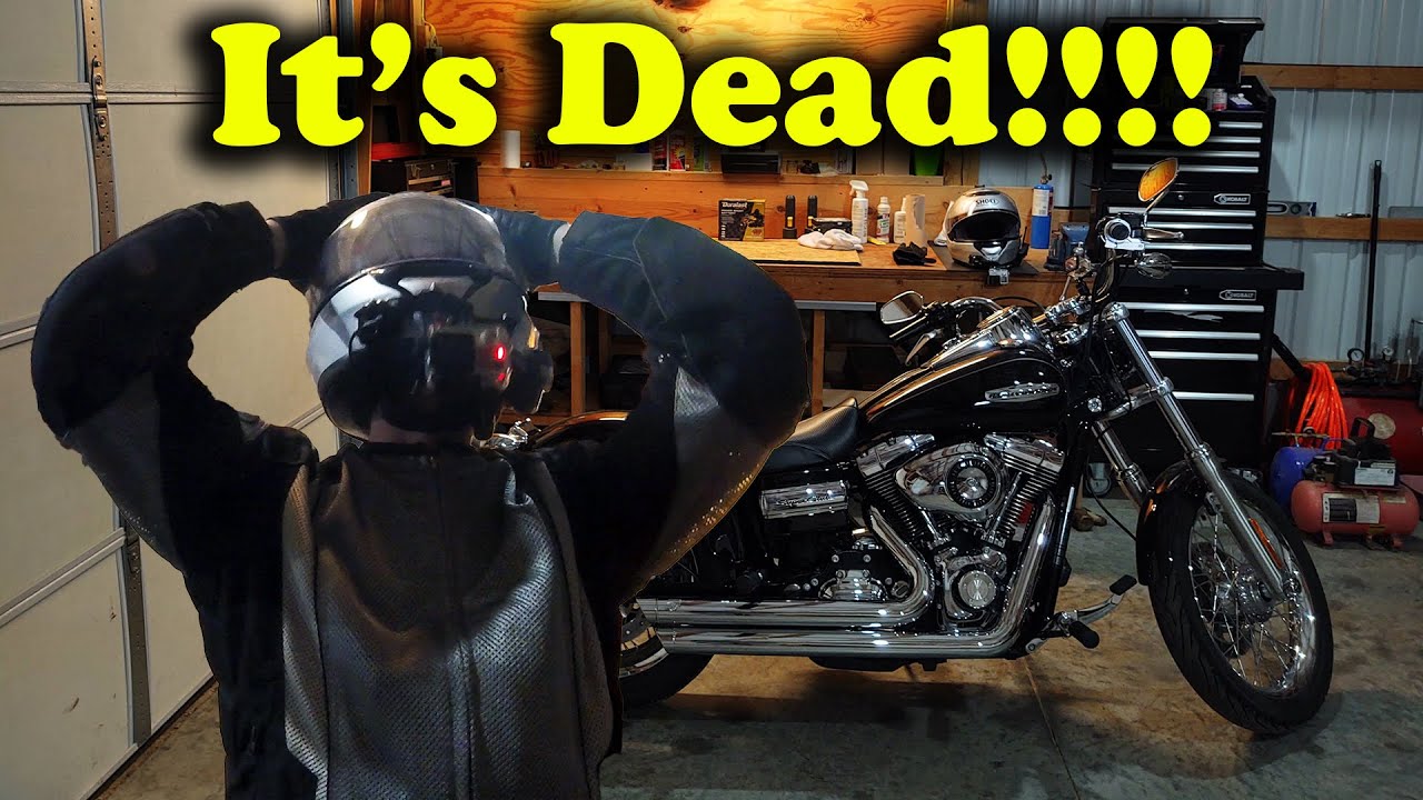 Replace A Dead Battery In The 2010 Harley Dyna Youtube