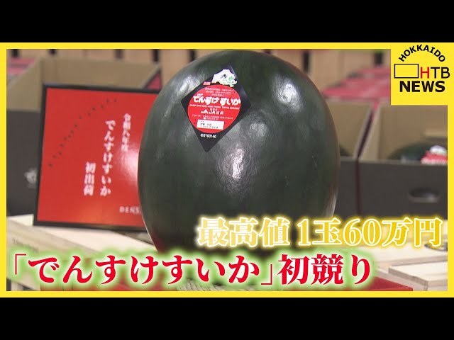 黒くてツヤツヤ「でんすけすいか」に1玉60万円のご祝儀価格 札幌の