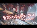 🎼 - 季節は次々死んでいく「Kisetsu wa Tsugitsugi Shindeiku」『amazarashi』