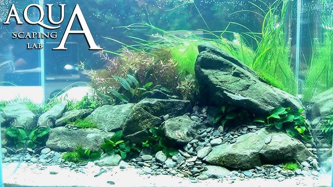 SABLE DE LOIRE 4KG sable aquarium aquascaping aquadesigner aquascape