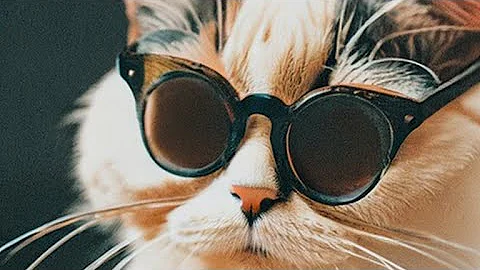 Video 11761001: cats kittens meowing, cats meowing loudly, meowing cat sound, funny cat