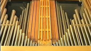 Die BEHRINGER Hausorgel (Uli Behringer)