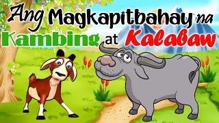 ANG MAGKAPIT BAHAY NA KAMBING AT KALABAW - PABULA