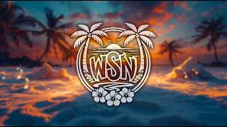 Neptune's Anchor - WSN | Summer Tropical Drum 'n' Bass Music 2026)