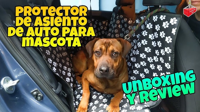 Cómo hacer una funda de asiento para perros en autos?🐶