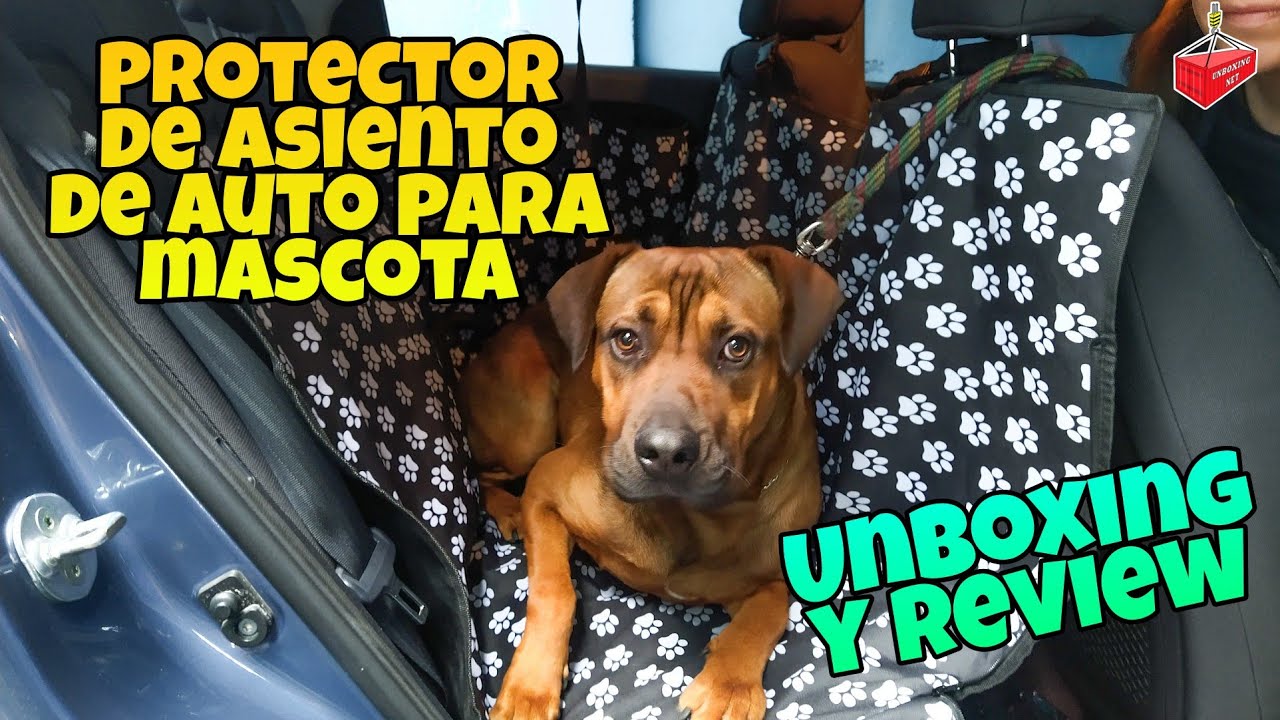 Asiento para llevar a tu mascota en el auto