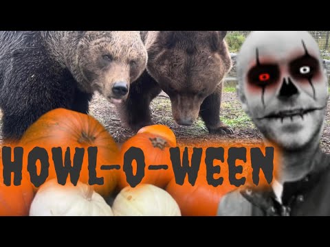 Video: Howl-O-Ween