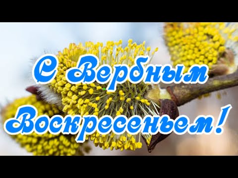 С Вербным воскресеньем!