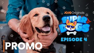 SUPER DOGS | EPISODE 4 PROMO | JOJO | DOG SHOW