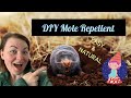 Homemade Ground Mole Repellent with Dawn Dish Soap and Castor Oil