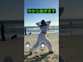 #ピタ止めチャレンジ#shorts #beautiful #dance #踊ってみた