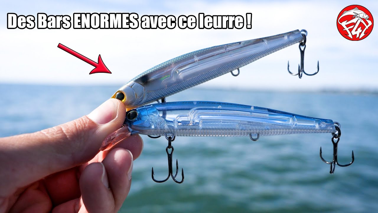 Quels poissons pour la pêche au gros ? - Leurre de la pêche