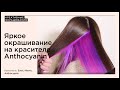 Яркое, скрытое окрашивание на красителе Anthocyanin