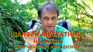 ШАЛФЕЙ МУСКАТНЫЙ на масле. Мощный АФРОДИЗИАК!!!