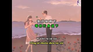[Vietsub Pinyin] Kiếp Sau Vẫn Muốn Cùng Anh Lập Gia Đình - Lưu Tam Cân - 下辈子还要和你成个家 - 刘三斤