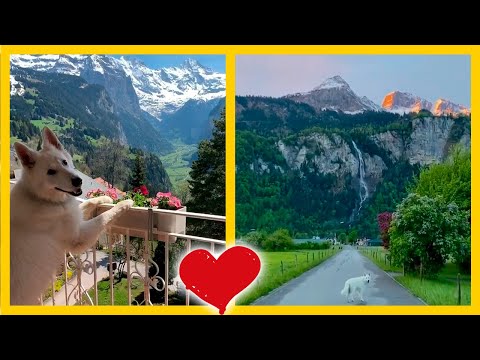Vídeo: Las Fotos De Este Instagram De Los Alpes Suizos Te Dejarán Boquiabierto - Matador Network
