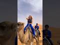 Camel Or Bike 🐪🥵 Morocco Desert Travel Jaymondy Camel Or Bike 🐪🥵 Morocco Desert Travel Jaymondy