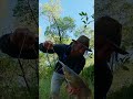 BIG BARRAMUNDI or CATFISH? neither #bigfish