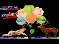 ANIMOVATIVE TRANSFORMATION - CONTINUAL &amp; CONTINUOUS IMPROVEMENT EXPLAINED! #power #survival