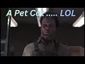 GTA 5 - A Pet Cat ... LOL But Seriously, We Love Our Cats And Dogs