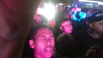 Slank -  poppies lane memory