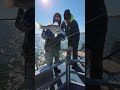 Catching a Hybrid Striper at sooner Lake Oklahoma #fishing #fishspecies #freshwaterfishing