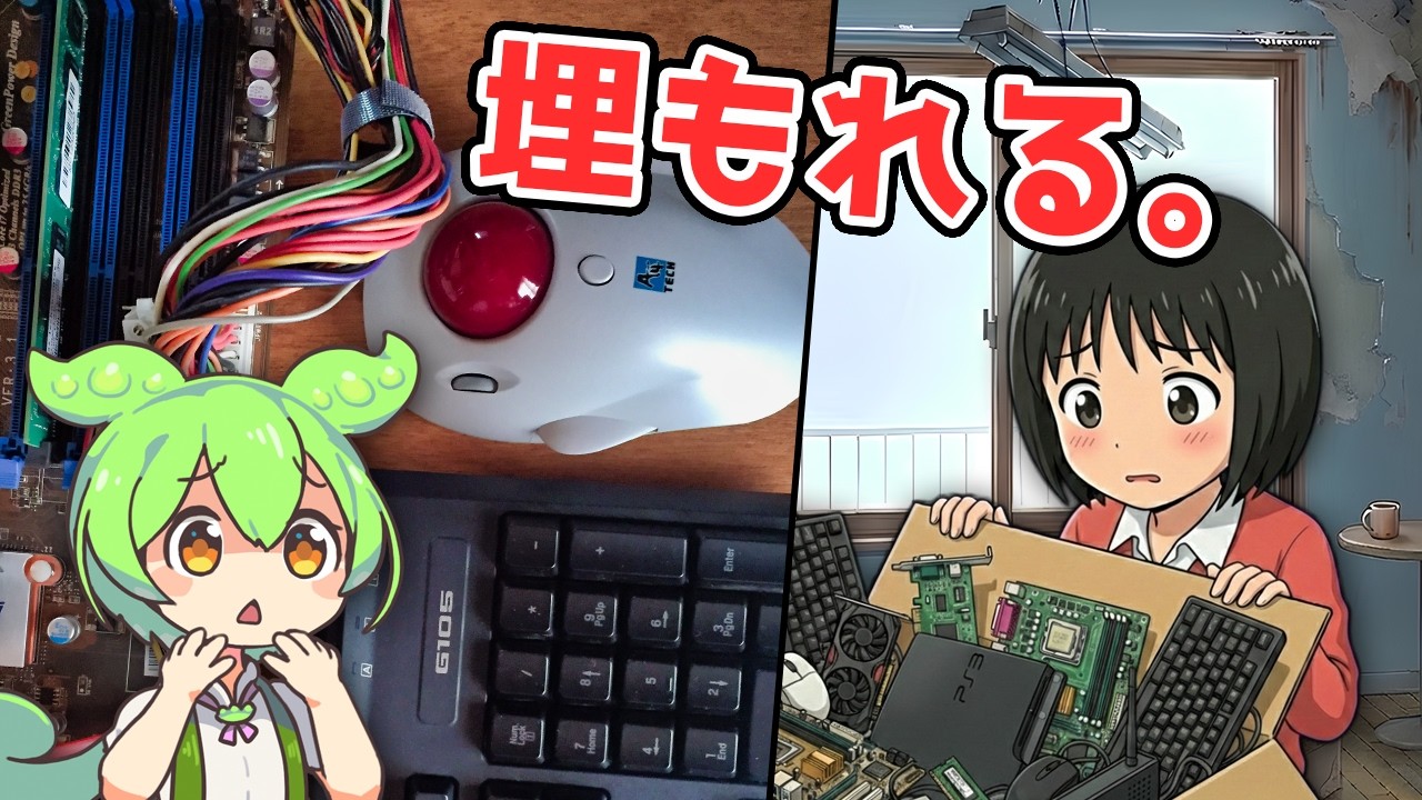 【開封】トモダチと不用品を交換したらカオスな箱が届いた【なげやり】