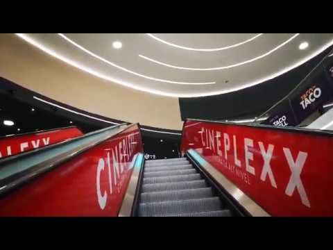 VIDEO FOTO S-au redeschis Mall-urile din Sibiu - GREVĂ la mai multe magazine 4 video