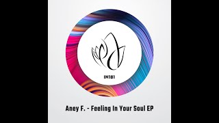 Aney F. - Spinning Around (Original Mix) - Innocent Music