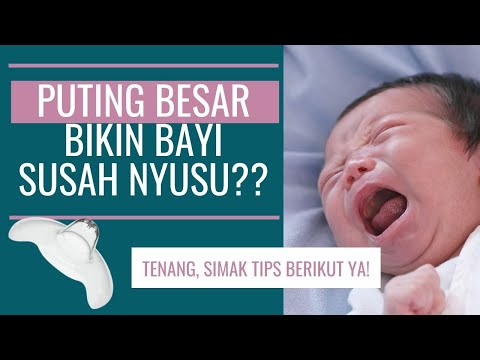 Video: Penggunaan Puting. Pro Dan Kontra