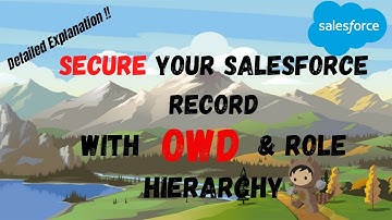 Record Level Security Salesforce|ORG-Wide Default(OWD) Salesforce|Record access using Role Hierarchy