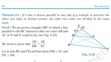Class 10 Theorem 6.1 Basic Proportionality Theorem || Thales  Theorem || Triangles most Important